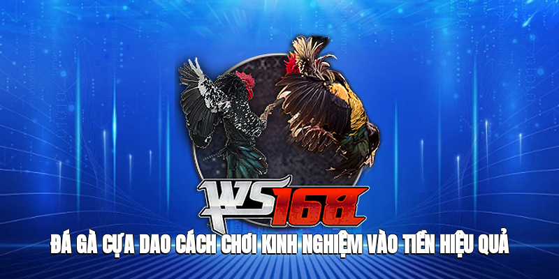 đá gà cựa dao