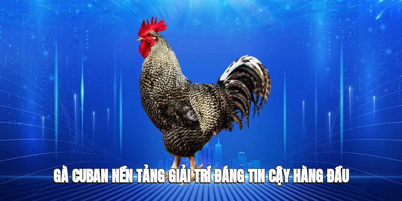 gà cuban