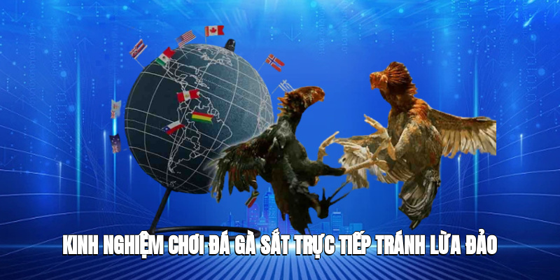 Kinh nghiệm chơi đá gà sắt