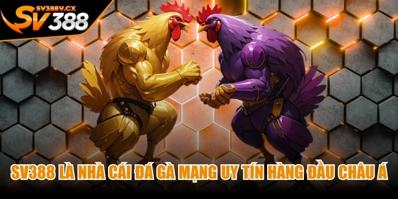 SV388 được biết đến là nhà cái đá gà mạng uy tín hàng đầu Châu Á