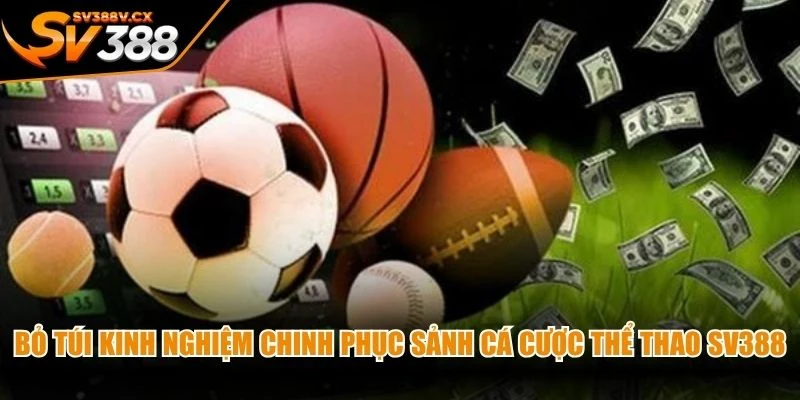Bỏ túi kinh nghiệm chinh phục sảnh cá cược thể thao SV388